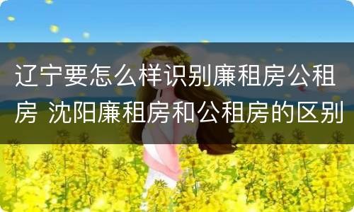 辽宁要怎么样识别廉租房公租房 沈阳廉租房和公租房的区别