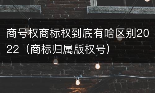 商号权商标权到底有啥区别2022（商标归属版权号）