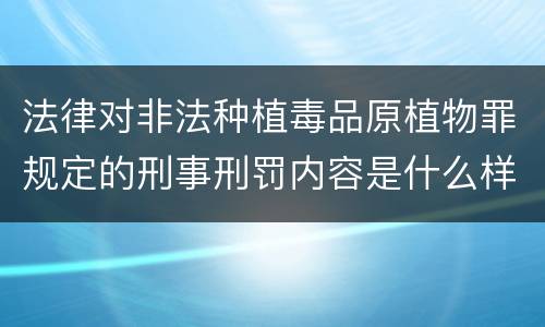 法律对非法种植毒品原植物罪规定的刑事刑罚内容是什么样的