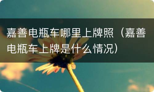 嘉善电瓶车哪里上牌照（嘉善电瓶车上牌是什么情况）