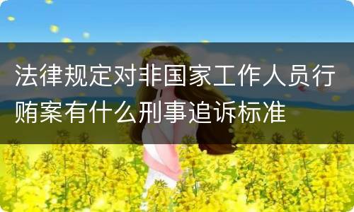 法律规定对非国家工作人员行贿案有什么刑事追诉标准