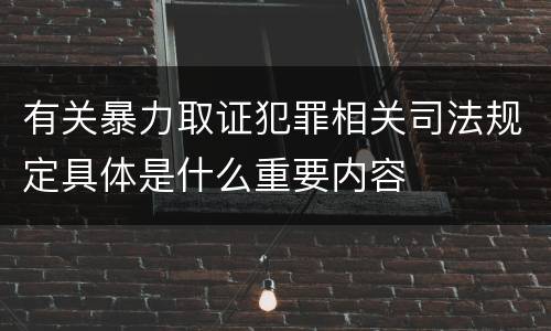 有关暴力取证犯罪相关司法规定具体是什么重要内容
