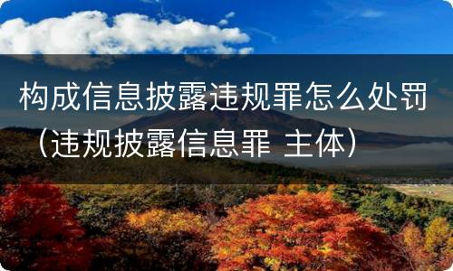 构成信息披露违规罪怎么处罚（违规披露信息罪 主体）