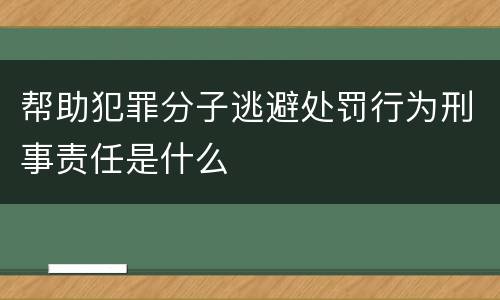 帮助犯罪分子逃避处罚行为刑事责任是什么