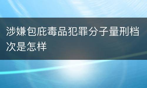 涉嫌包庇毒品犯罪分子量刑档次是怎样