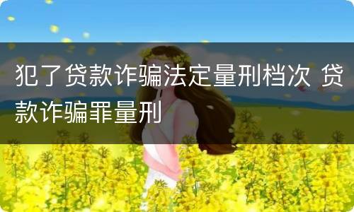 犯了贷款诈骗法定量刑档次 贷款诈骗罪量刑