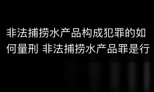 非法捕捞水产品构成犯罪的如何量刑 非法捕捞水产品罪是行为犯吗