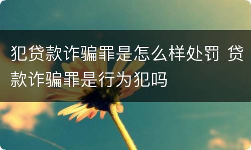 犯贷款诈骗罪是怎么样处罚 贷款诈骗罪是行为犯吗
