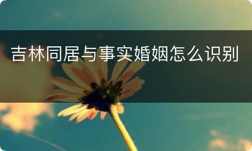 吉林同居与事实婚姻怎么识别