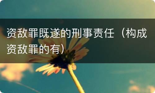 资敌罪既遂的刑事责任（构成资敌罪的有）