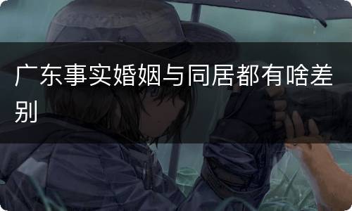 广东事实婚姻与同居都有啥差别