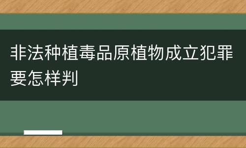 非法种植毒品原植物成立犯罪要怎样判