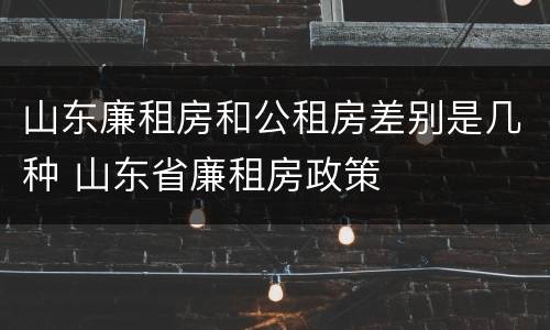 山东廉租房和公租房差别是几种 山东省廉租房政策