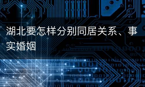 湖北要怎样分别同居关系、事实婚姻