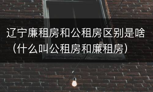 辽宁廉租房和公租房区别是啥（什么叫公租房和廉租房）
