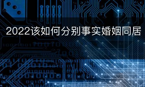 2022该如何分别事实婚姻同居
