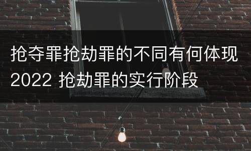 抢夺罪抢劫罪的不同有何体现2022 抢劫罪的实行阶段