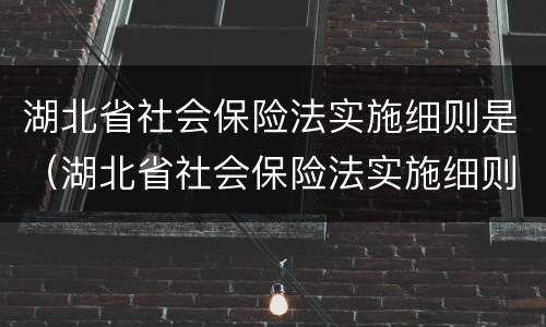 湖北省社会保险法实施细则是（湖北省社会保险法实施细则是什么）