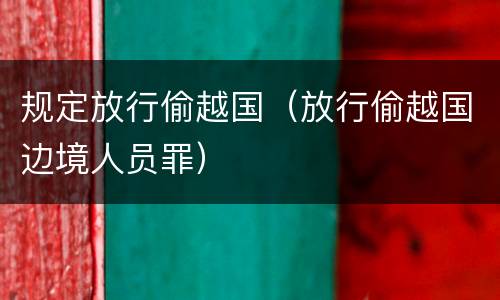 规定放行偷越国（放行偷越国边境人员罪）