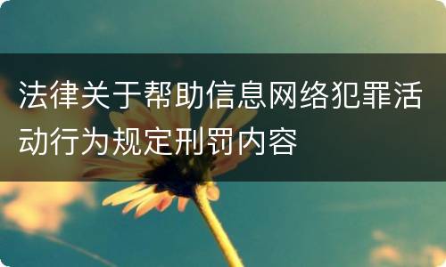 法律关于帮助信息网络犯罪活动行为规定刑罚内容