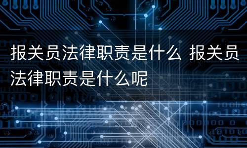 报关员法律职责是什么 报关员法律职责是什么呢