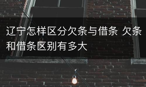 辽宁怎样区分欠条与借条 欠条和借条区别有多大