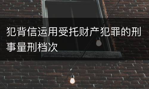 犯背信运用受托财产犯罪的刑事量刑档次