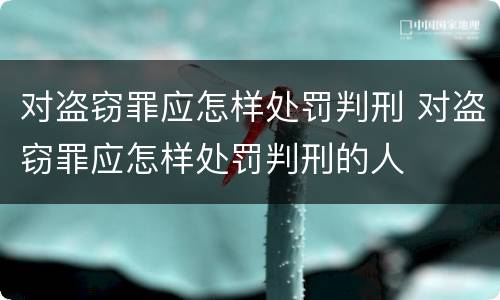 对盗窃罪应怎样处罚判刑 对盗窃罪应怎样处罚判刑的人