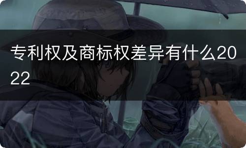 专利权及商标权差异有什么2022