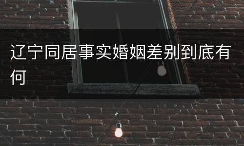 辽宁同居事实婚姻差别到底有何