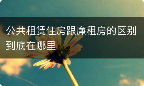 公共租赁住房跟廉租房的区别到底在哪里