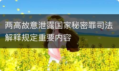 两高故意泄露国家秘密罪司法解释规定重要内容