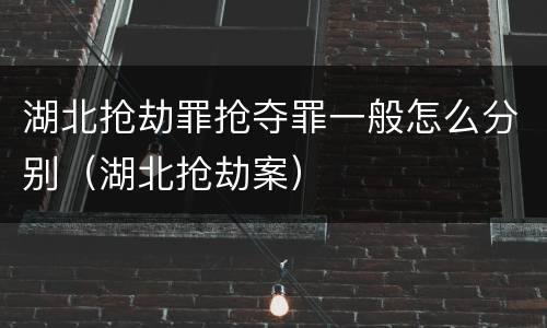 湖北抢劫罪抢夺罪一般怎么分别（湖北抢劫案）