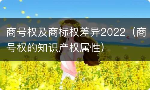 商号权及商标权差异2022（商号权的知识产权属性）