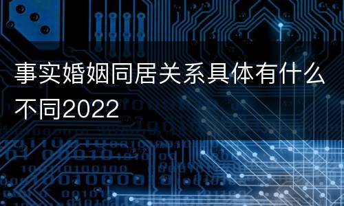 事实婚姻同居关系具体有什么不同2022