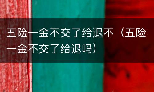 五险一金不交了给退不（五险一金不交了给退吗）