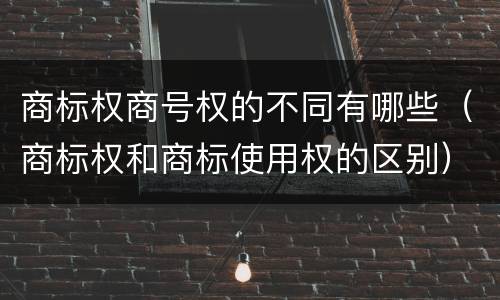 商标权商号权的不同有哪些（商标权和商标使用权的区别）