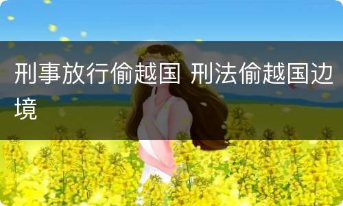 刑事放行偷越国 刑法偷越国边境