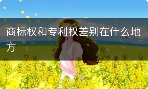 商标权和专利权差别在什么地方