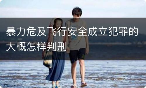 暴力危及飞行安全成立犯罪的大概怎样判刑