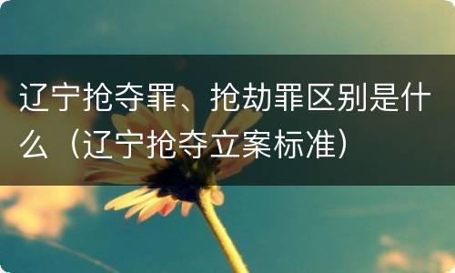 辽宁抢夺罪、抢劫罪区别是什么（辽宁抢夺立案标准）