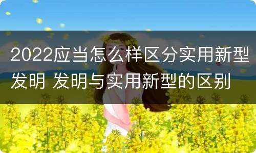 2022应当怎么样区分实用新型发明 发明与实用新型的区别