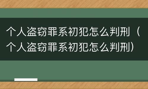 个人盗窃罪系初犯怎么判刑（个人盗窃罪系初犯怎么判刑）