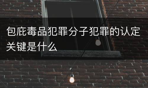 包庇毒品犯罪分子犯罪的认定关键是什么