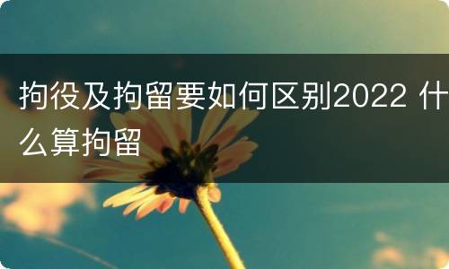 拘役及拘留要如何区别2022 什么算拘留