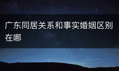 广东同居关系和事实婚姻区别在哪