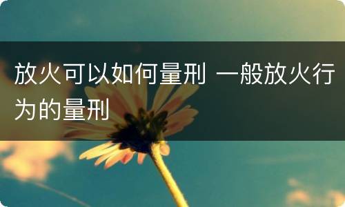 放火可以如何量刑 一般放火行为的量刑