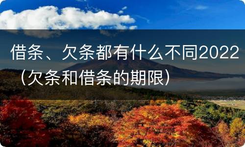 借条、欠条都有什么不同2022（欠条和借条的期限）