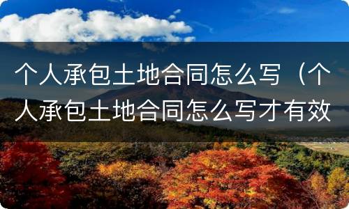 个人承包土地合同怎么写（个人承包土地合同怎么写才有效）