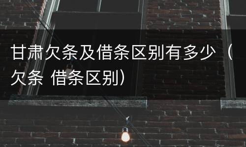甘肃欠条及借条区别有多少（欠条 借条区别）